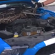 Ilustración para el artículo titulado Abre el capó de su Ford Mustang y encuentra una pitón de casi 3 metros
